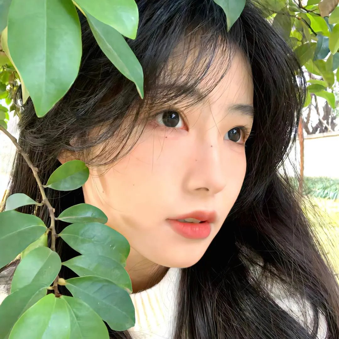 花少看世界2024